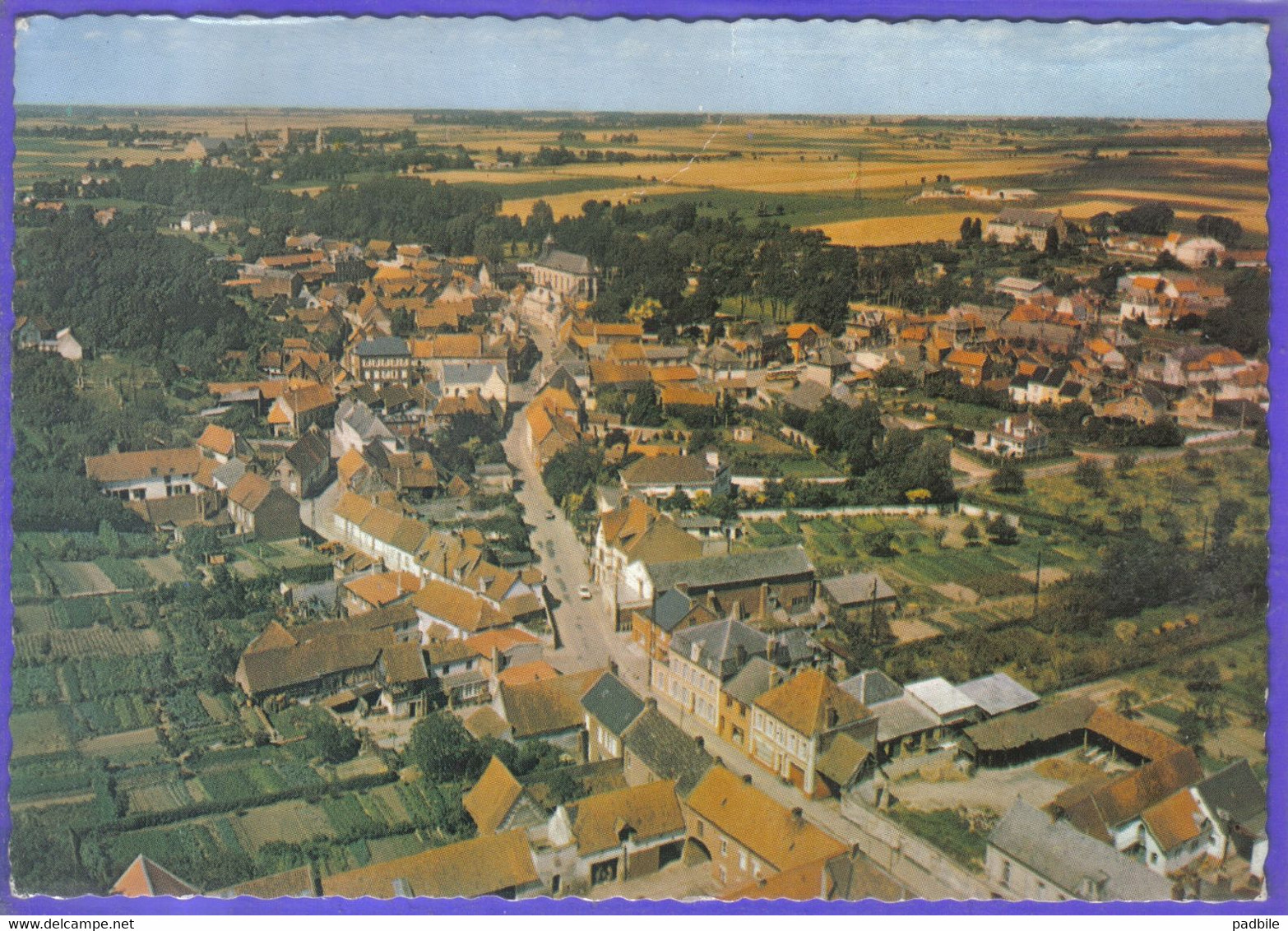 Carte Postale 62. Aubigny En Artois Très Beau Plan - Aubigny En Artois