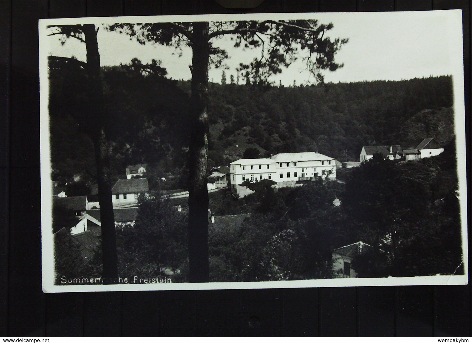 DR/Tschechien: AK Von Der Sommerfrische Freistein (Sudeten) Mit 6 Pf Hindenburg Vom 18.8.1941 Nach Thale (Harz) Knr: 484 - Repubblica Ceca