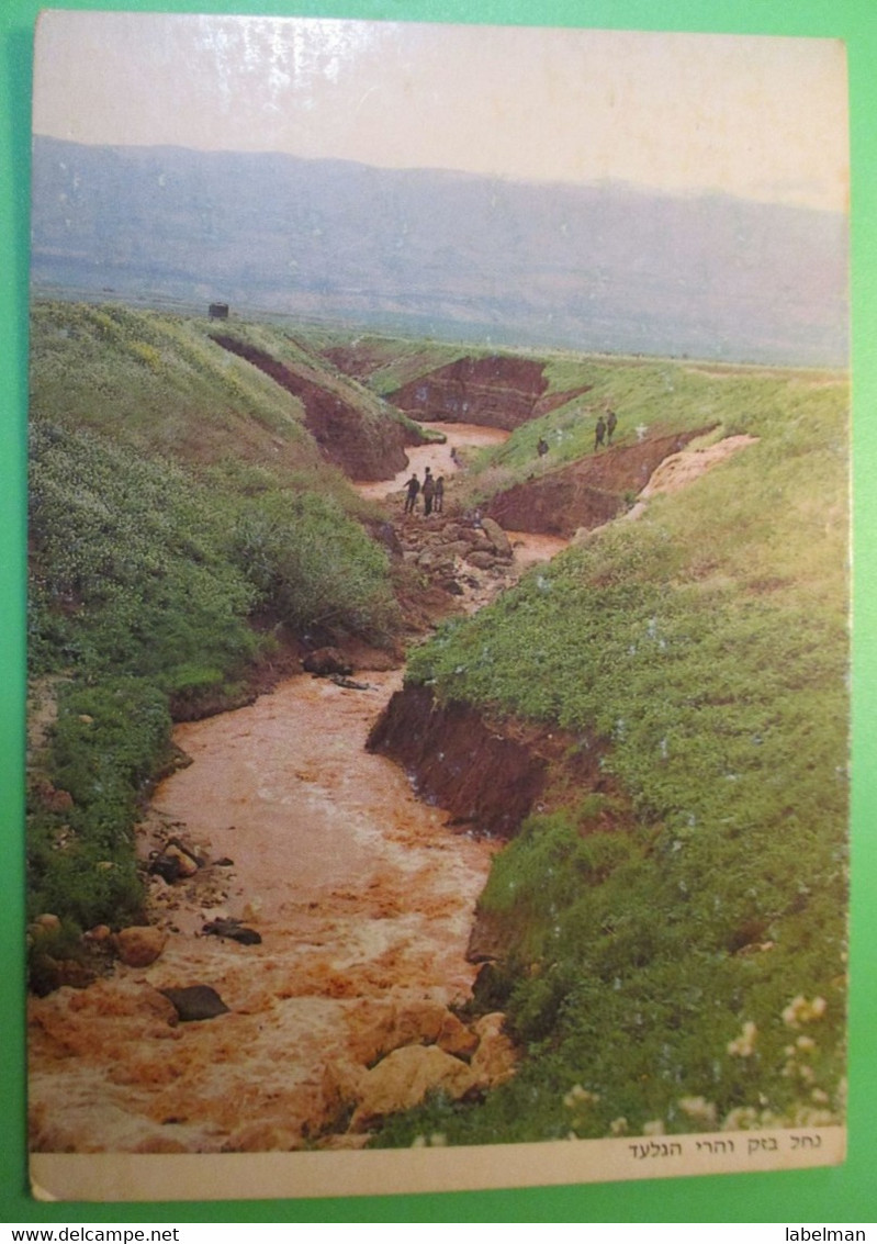 ISRAEL FIGHT CANCER ASSOCIATION SHANA TOVA NEW YEAR JUDAICA PC ILAN ZAARONI GILAD CARD POSTCARD CARTOLINA ANSICHTSKARTE - New Year