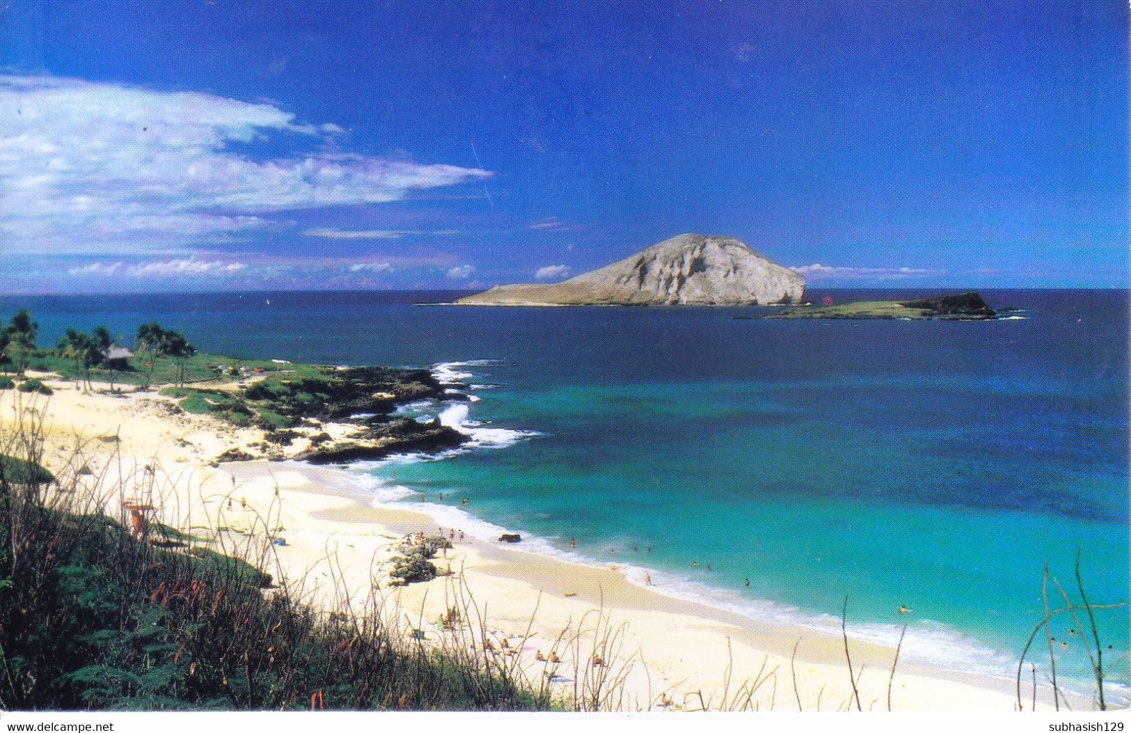 UNITED STATES OF AMERICA : UNUSED COLOUR PICTURE POST CARD : MMAKAPUU BEACH, ISLAND OF OAHU, HAWAII - Oahu