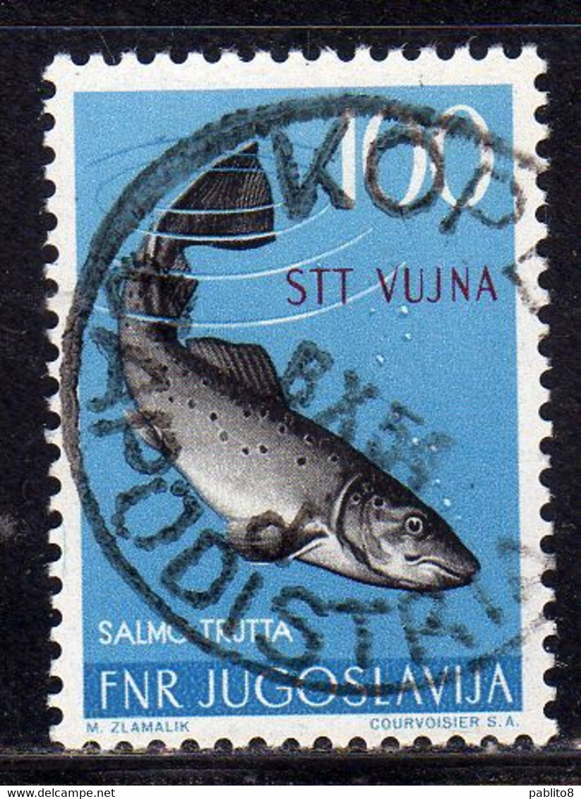 TRIESTE B 1954 FAUNA ANIMALS ANIMALI ANIMAUX FISH SALMO TRUTTA SALMONE PESCE 100d USATO USED OBLITERE' - Gebraucht