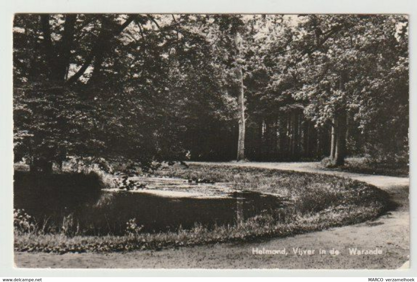 Postcard-ansichtkaart: Vijver In De Warande Helmond (NL) 1962 - Helmond