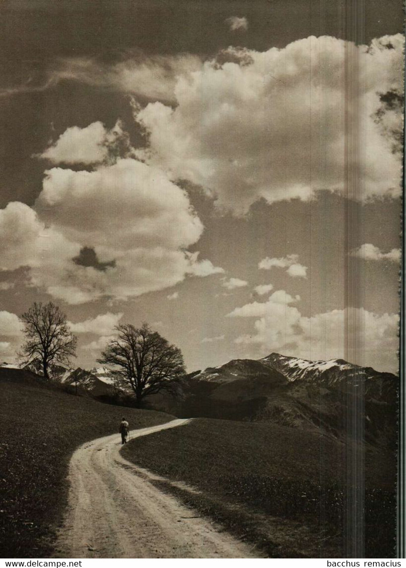 SEEWIS Im Prättigau  Blick Vom Weg Nach Fadära Auf Das Kreuz - Seewis Im Prättigau