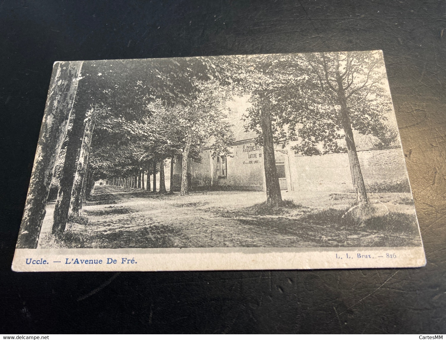 Uccle L’Avenue De Fré Defré Vers 1900 - Uccle - Ukkel