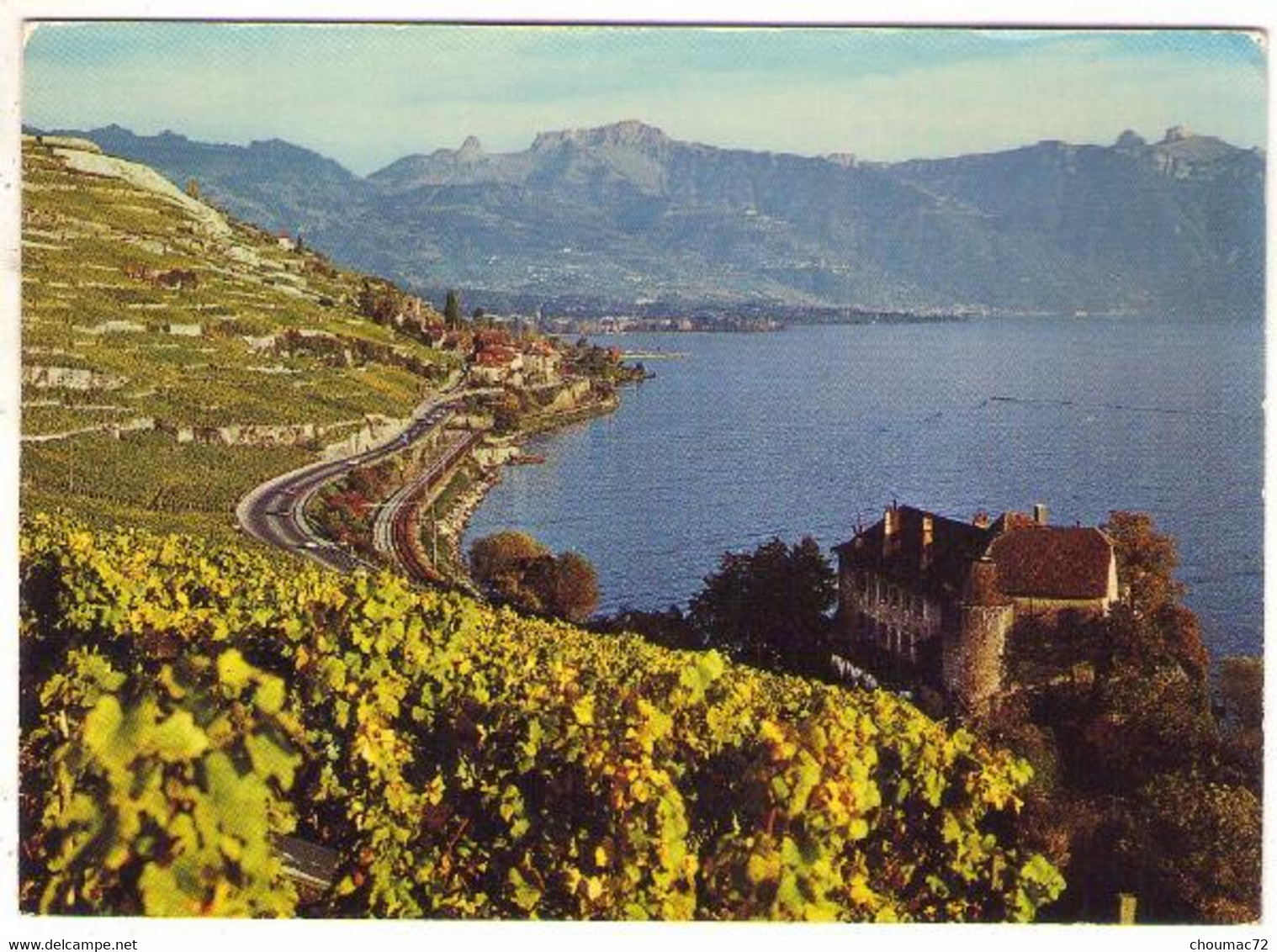 GF (Suisse) Vaud 059, Saint St Saphorin, Photoglob 9237, Vignobles De Lavaux - Saint-Saphorin