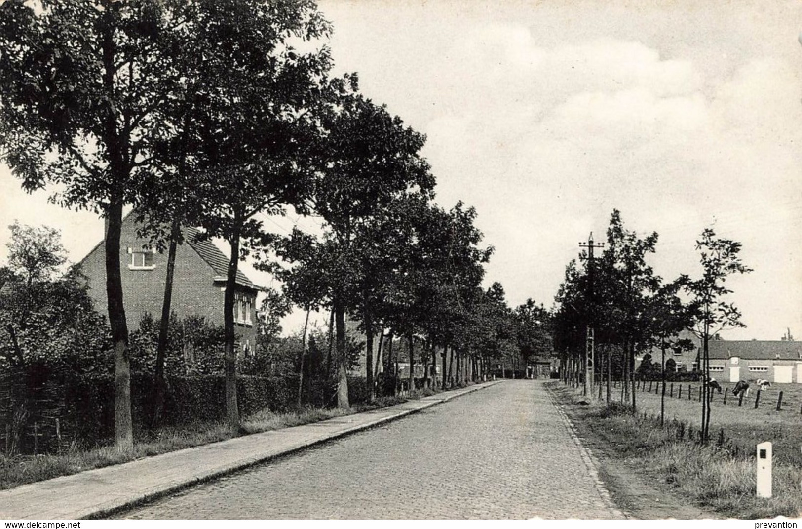 VLIMMEREN - Statiestraat - Photo Carte Circulé - Beerse