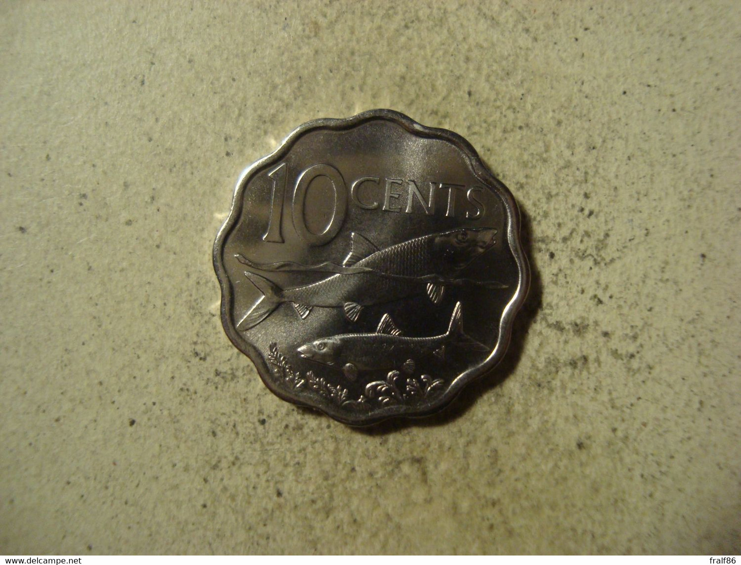 MONNAIE BAHAMAS 10 CENTS 2007 - Bahamas