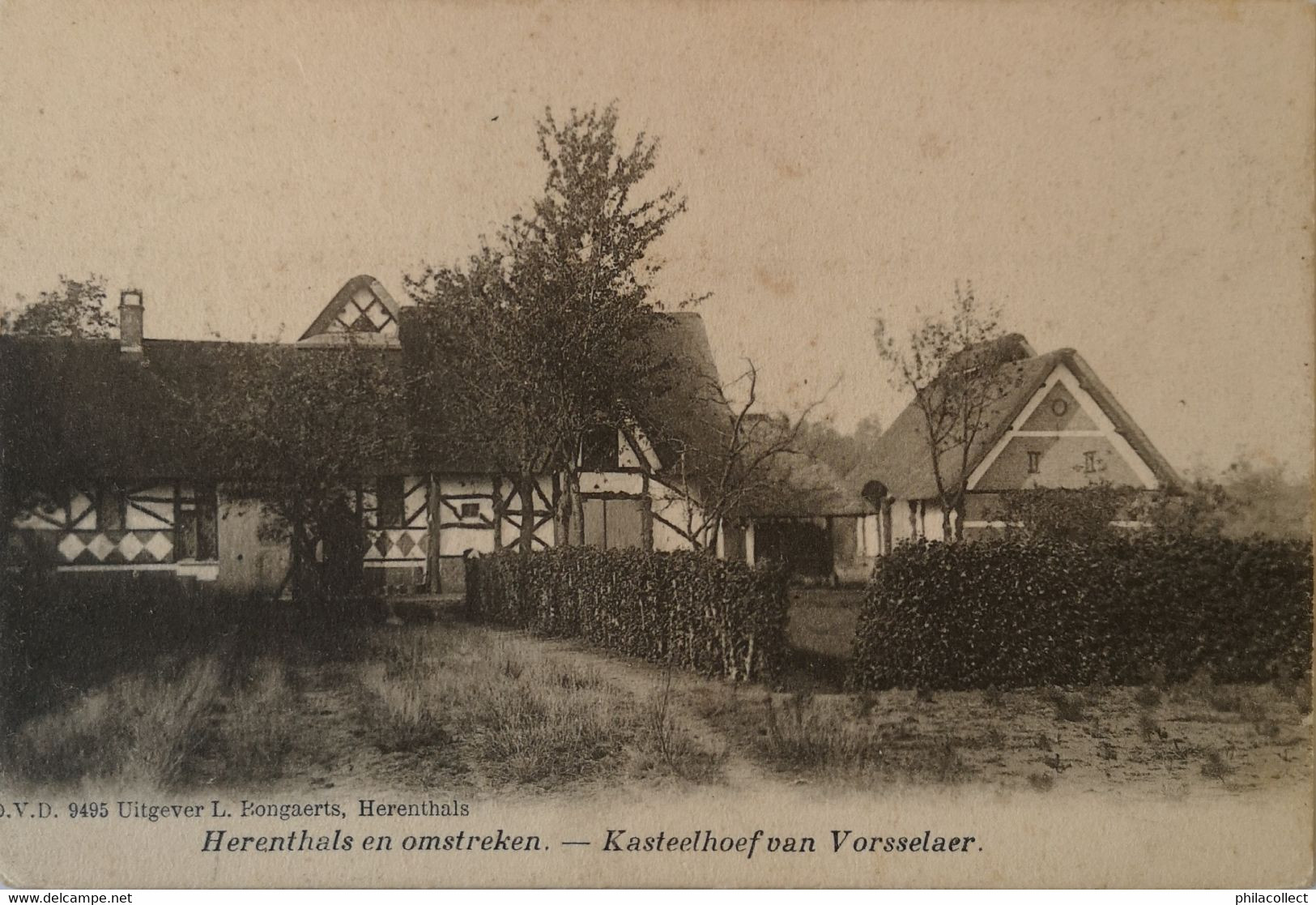 Vosselaar - Vosselaer // Kasteelhoef Van 1903 - Vosselaar