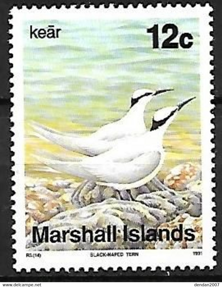 Marshall Islands - MNH ** 1991 :  Black-naped Tern  -  Sterna Sumatrana - Möwen