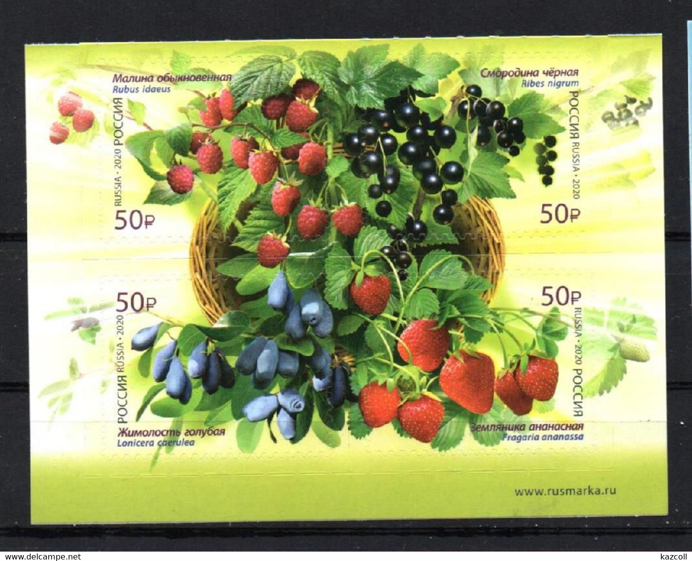 Russia 2020. Flora Of Russia. Berries. MNH - Nuevos