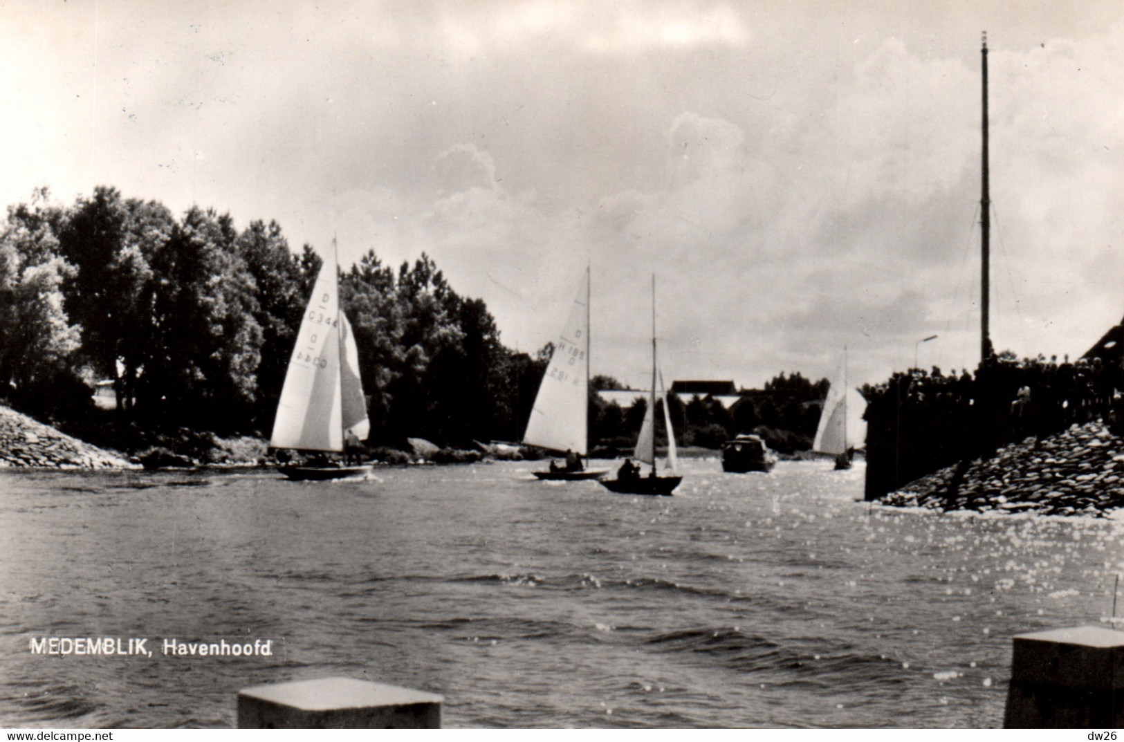 Voile, Régate: Medemblik, Havenhoofd (entrée Du Port) - Carte Non Circulée - Vela