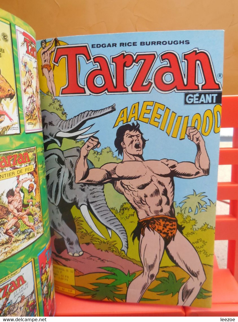 BD TARZAN GEANT N°2, Recueil (56 à 58) Album Fantaisies, SAGEDITION.....................4B...2022 - Tarzan