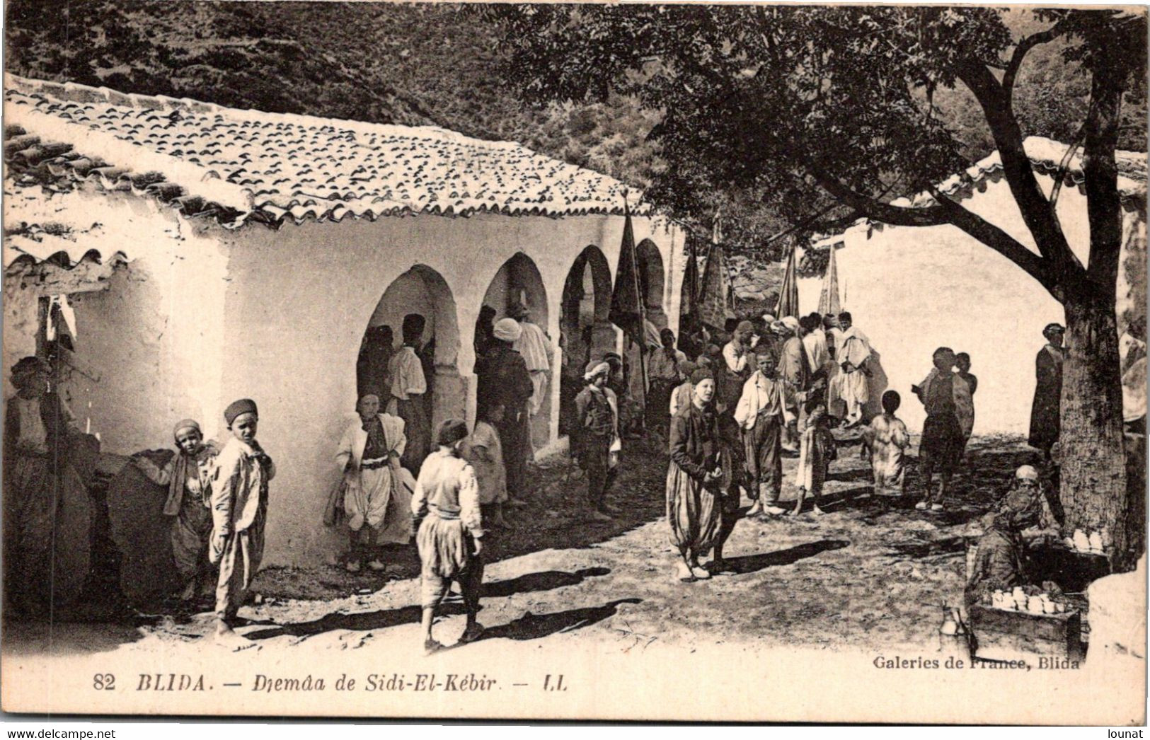 Algérie - BLIDA - Djemda De Sidi El Kébir - Blida