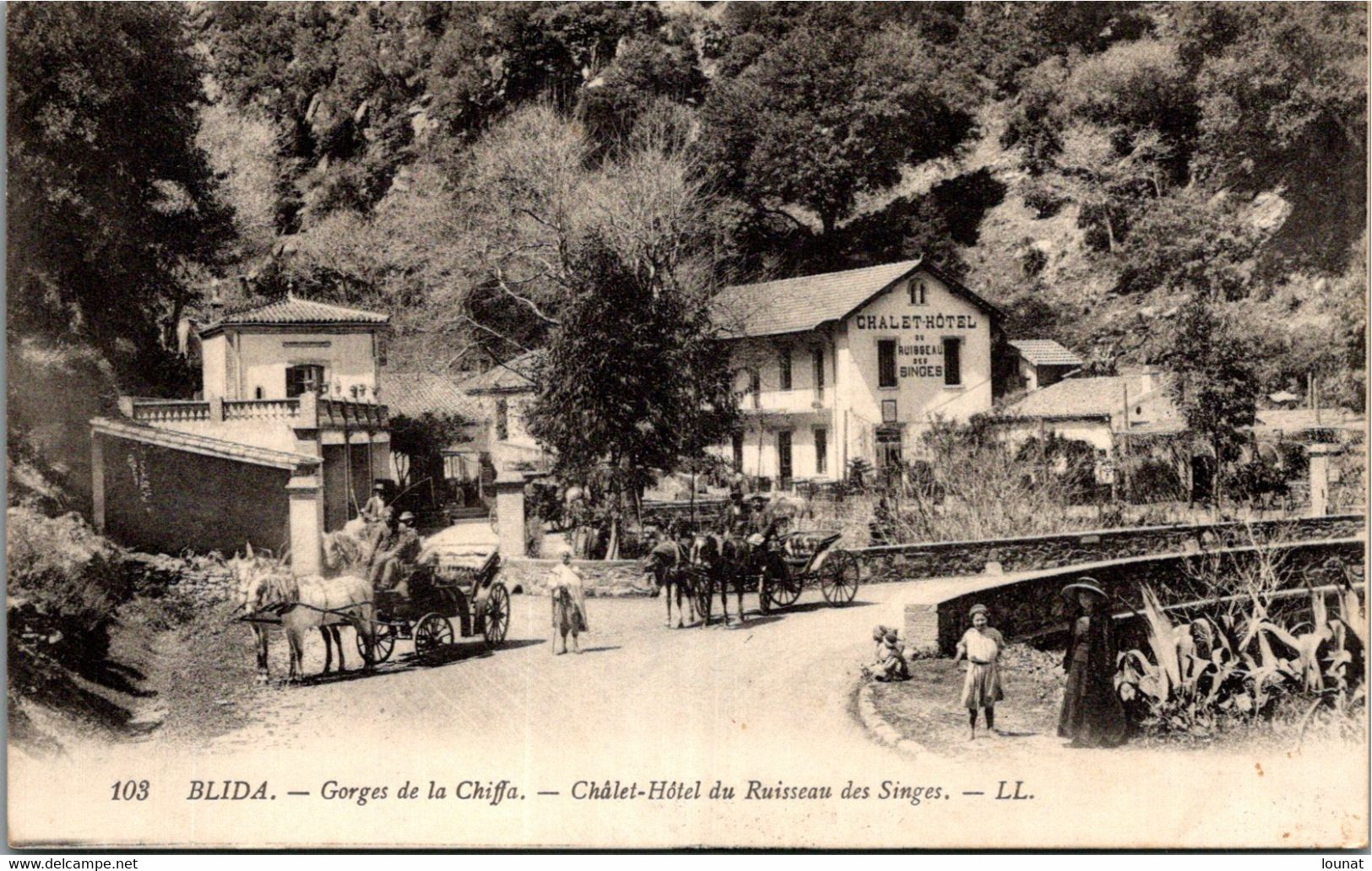 Algérie - BLIDA - Gorges De La Chiffa - Châlet Hôtel Du Ruisseau Des Singes - Blida