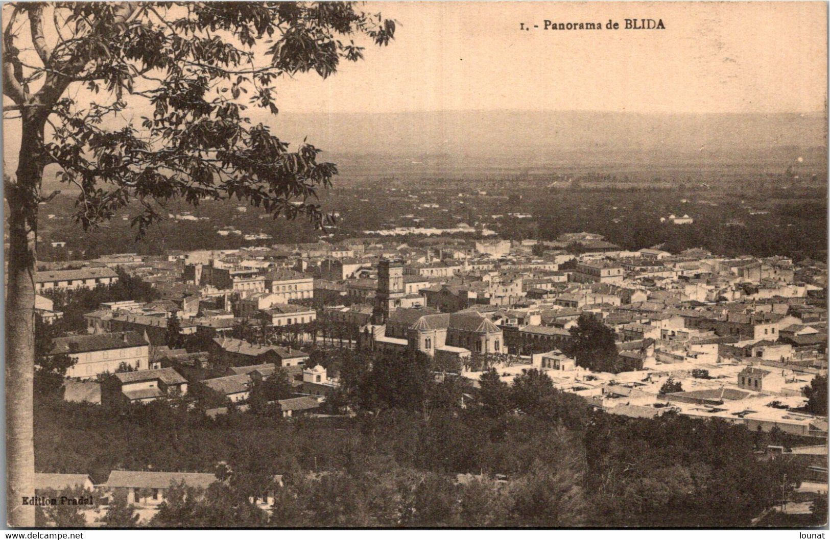 Algérie - BLIDA - Panorama - Blida