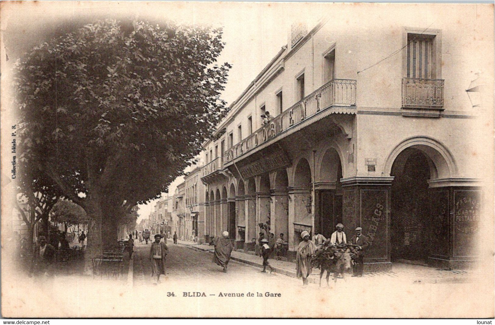 Algérie - BLIDA - Avenue De La Gare - Blida