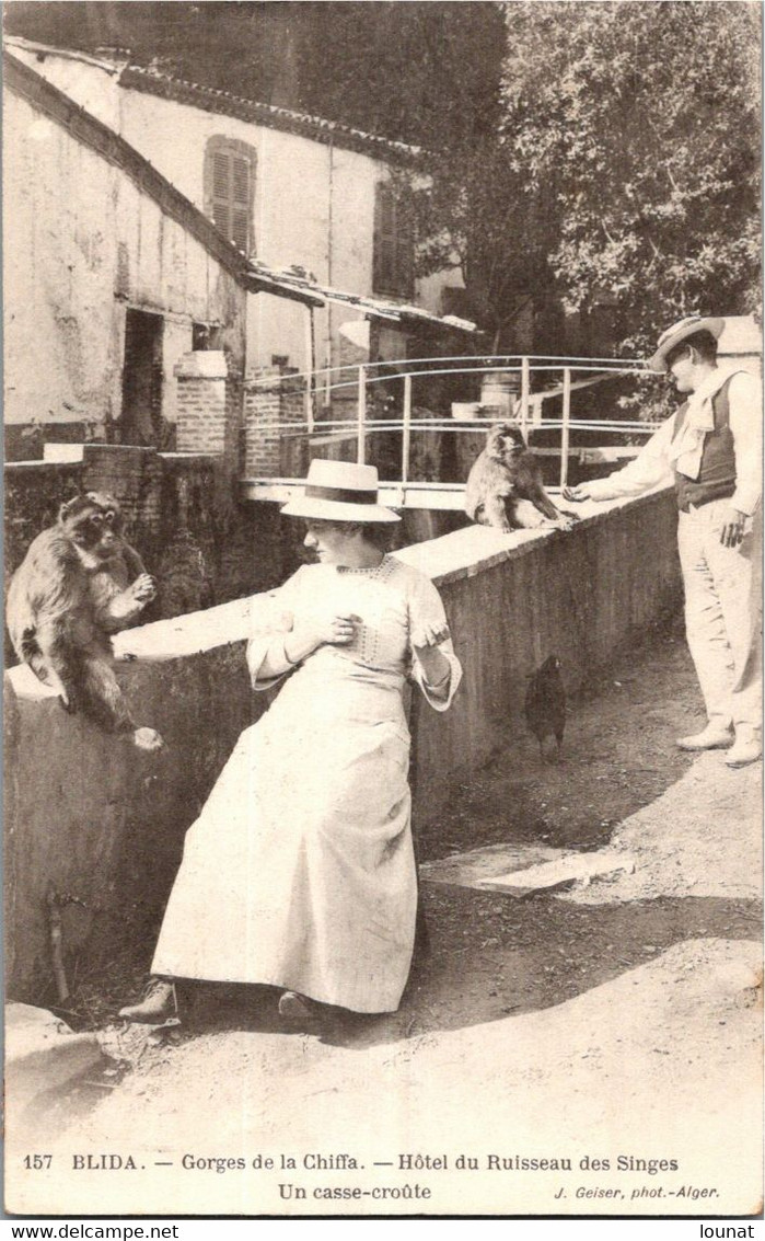 Algérie - BLIDA - Gorges De La Chiffa - Hôtel Du Ruisseau Des Singes - Blida