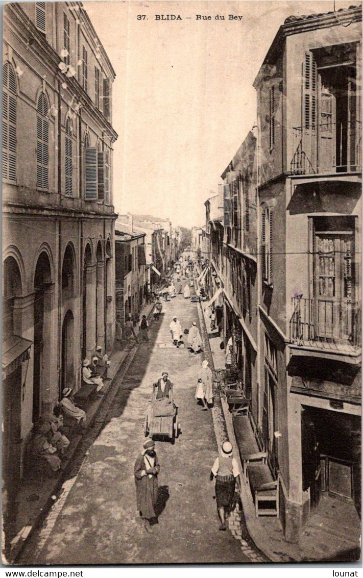 Algérie - BLIDA - Rue Du Bey - Blida