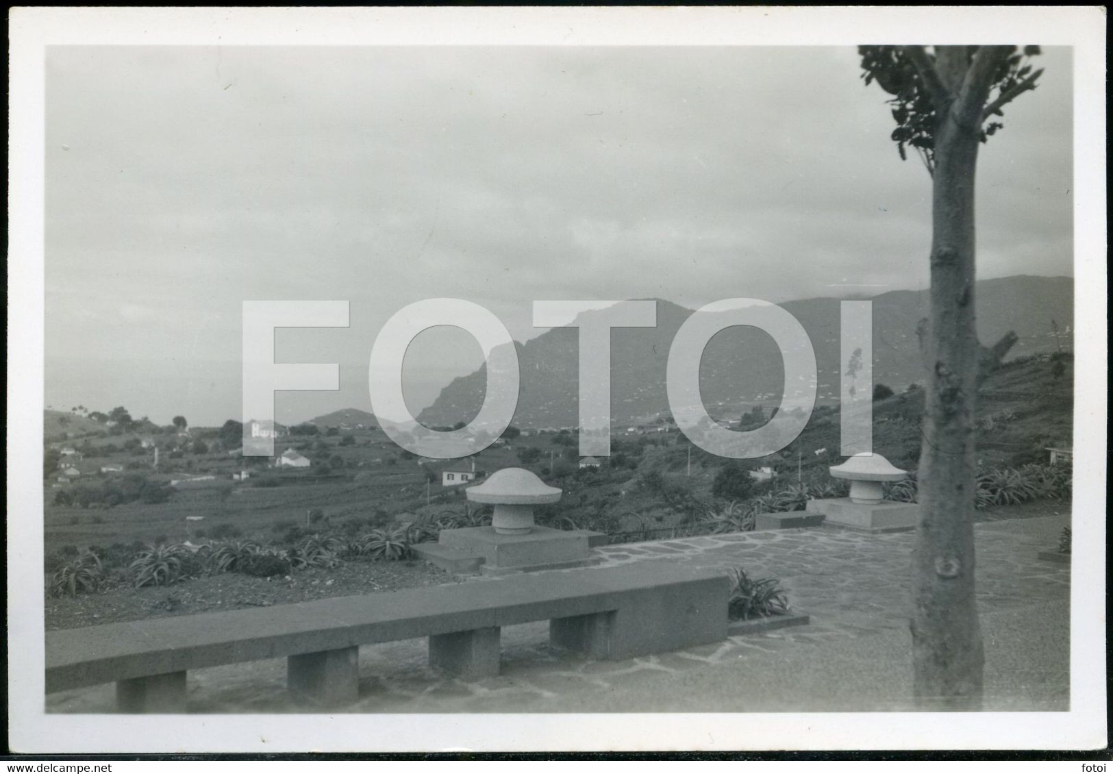 50s ORIGINAL PHOTO FOTO PICO DOS BARCELOS ILHA DA MADEIRA PORTUGAL - Places