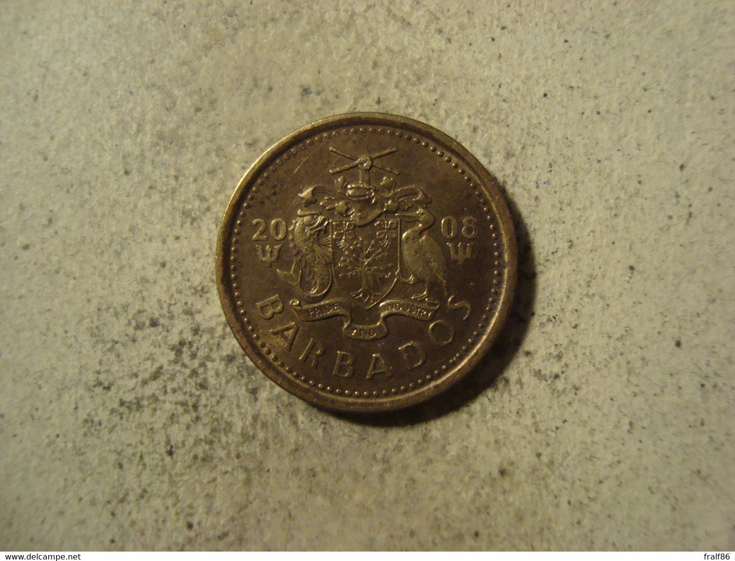 MONNAIE BARBADES 5 CENTS 2008 - Barbados (Barbuda)