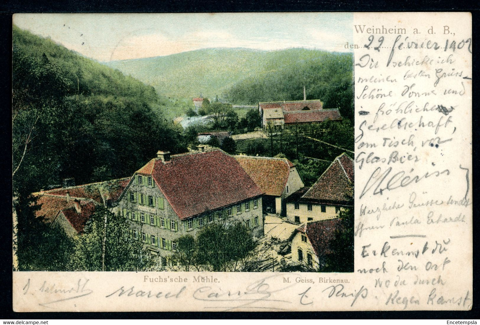 CPA - Carte Postale - Allemagne - Weinheim - Fuchs'sche Muhle - 1902 (CP19690) - Weinheim