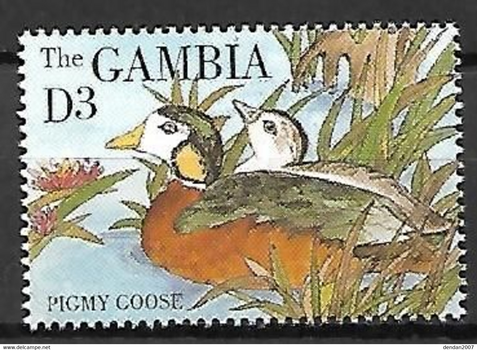 Gambia - MNH ** 1995 :    African Pygmy Goose  -  Nettapus Auritus - Oies