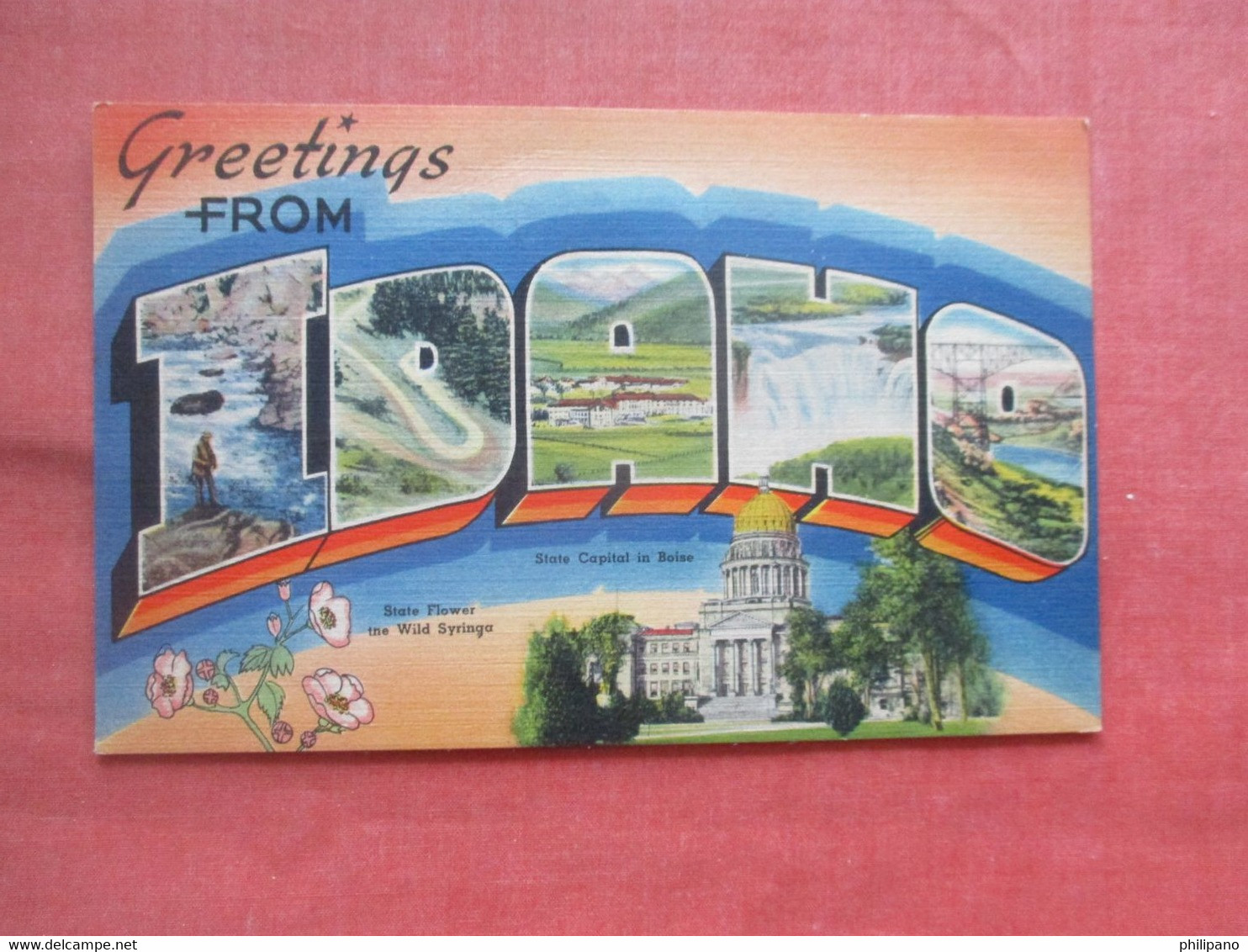 Greetings.- Idaho  .       Ref 5483 - Sonstige & Ohne Zuordnung