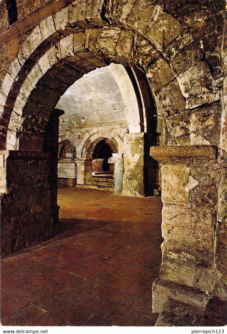 13 - Marseille - Abbaye De Saint Victor - Vue Partielle Des Cryptes - Vieux Port, Saint Victor, Le Panier
