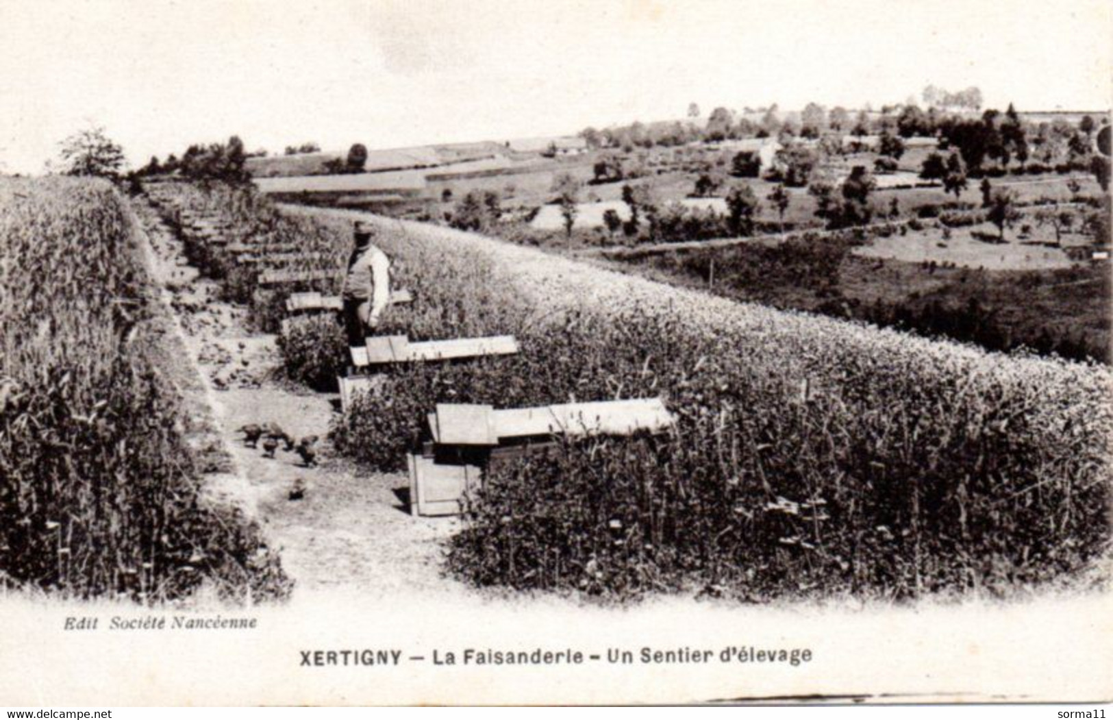 CPA XERTIGNY 88 La Faisanderie, Un Sentier D'élevage - Xertigny