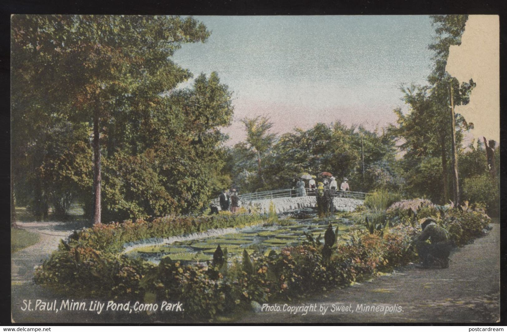 St Paul MN Lily Pond Como Park Postcard - St Paul