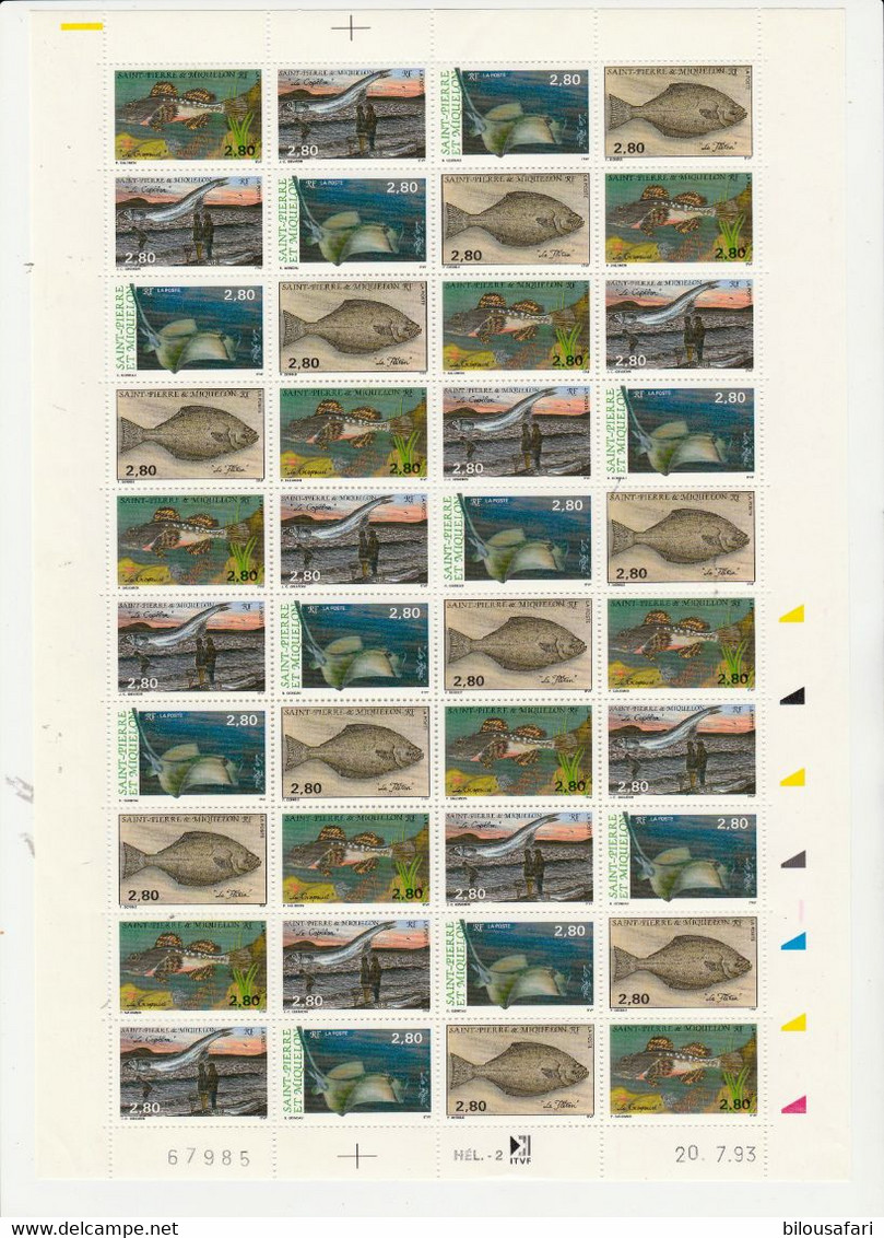 SAINT PIERRE ET MIQUELON 1 Feuille 40 T 10 Bandes N°YT 580 à 583 Date 20.7.93 Faune Poissons - Sonstige & Ohne Zuordnung