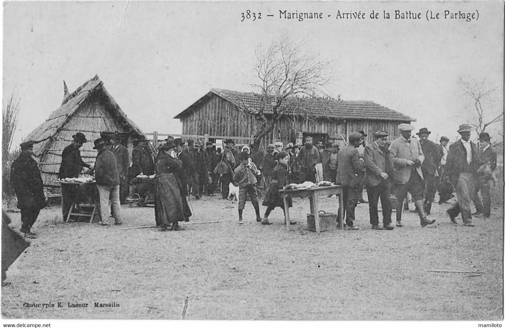 MARIGNANE - Arrivée De La Battue ( Le Partage ) - Marignane