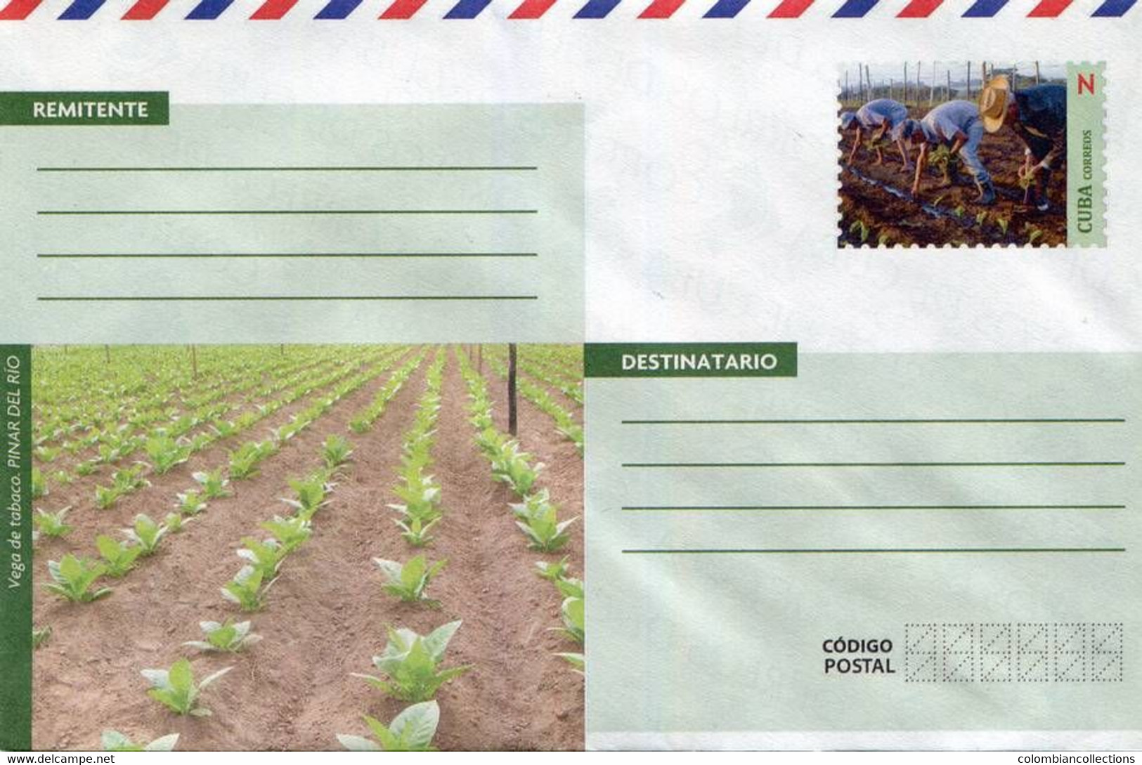 Lote PEP1388, Cuba, Entero Postal, Stationery, Cover, N, Tabaco, Tobacco - Cartes-maximum
