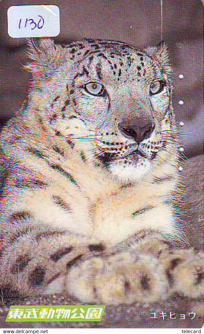 Télécarte * Animal * TIGRE * TIGER (1130) FELIN * Phonecard * Telefonkarte * TIJGER- - Jungle