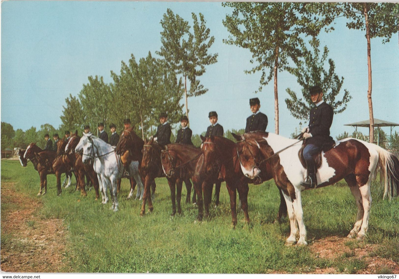 N7547 - MONCALIERI - REAL COLLEGIO - LEZIONE DI EQUITAZIONE - Moncalieri