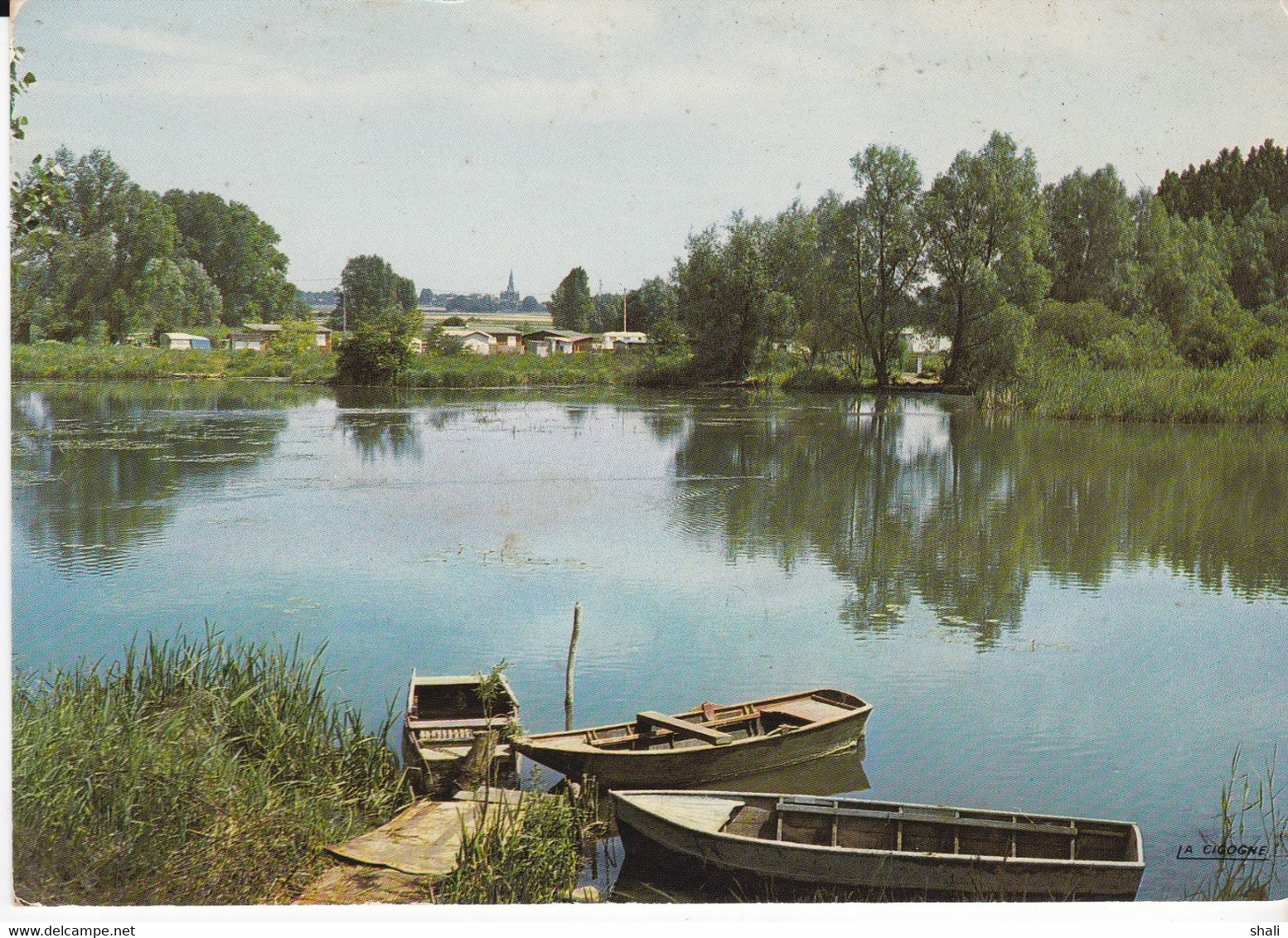 CPSM ARLEUX L' ETANG - Arleux