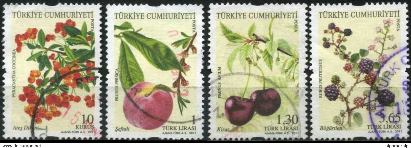 Türkiye 2011 Mi 3914-3917 Fruits, Flora | Pyracantha, Peach, Wild Cherry, Blackberry - Used Stamps