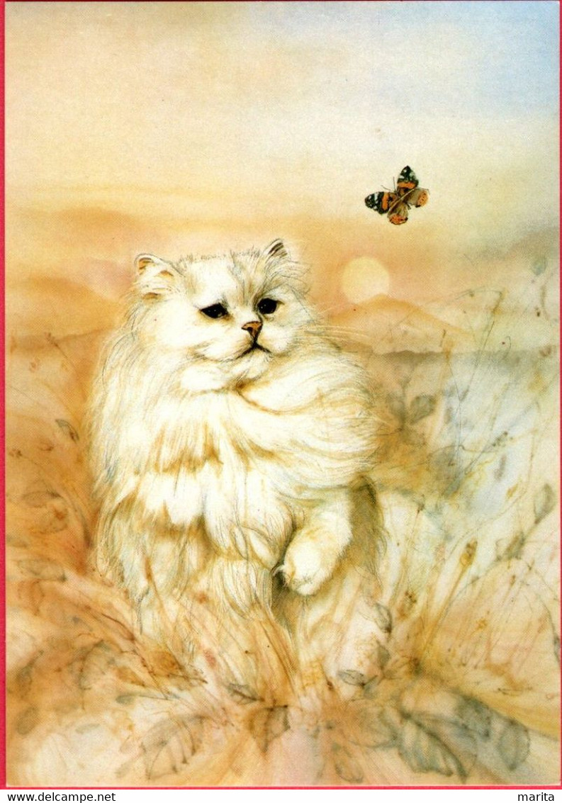 Chat Et Papillon - Cat - Katze- Witte Poes En Vlinder - Gatos