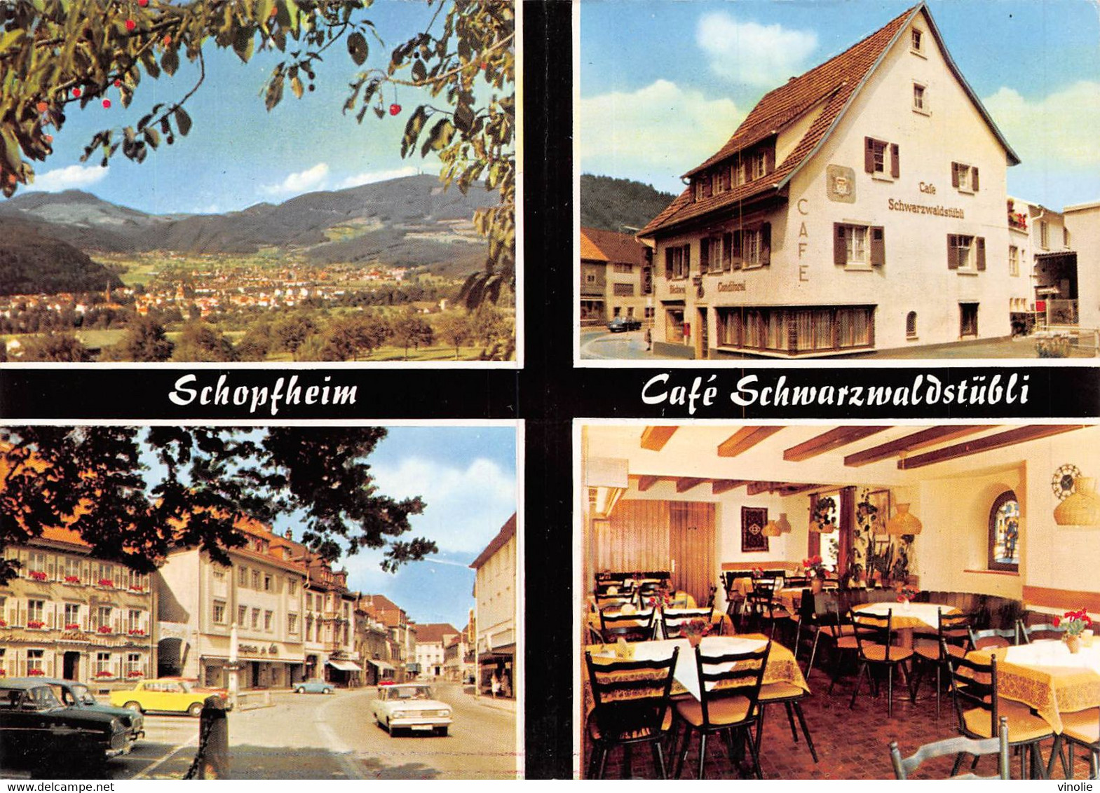 PIE-22-T.G-B : 1154 : SCHOPFHEIM. CAFE SCHWARZWALDSTÜBLI - Schopfheim