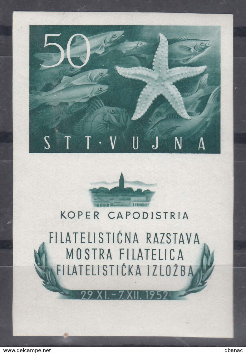 Italy Yugoslavia Trieste Zone B 1952 Seastar And Fish Sassone#3 Mi#Block 2 Mint Never Hinged - Neufs