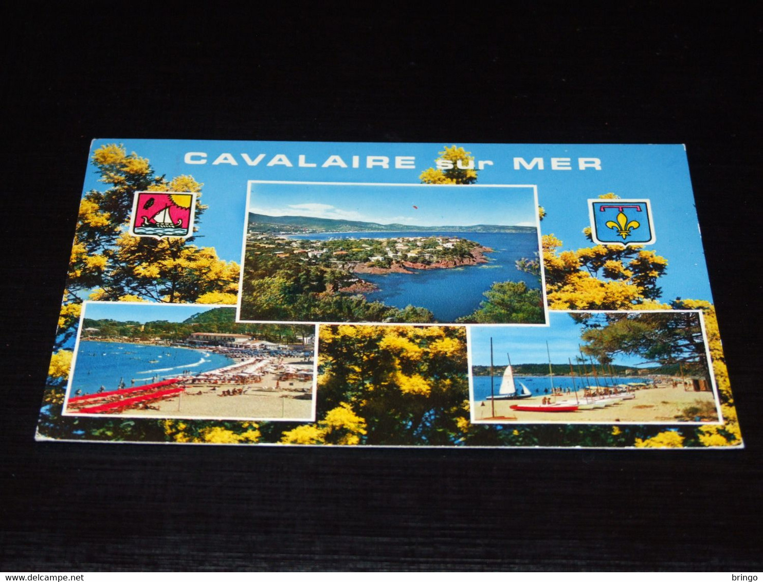 41352-                     CAVALAIRE SUR MER - Cavalaire-sur-Mer