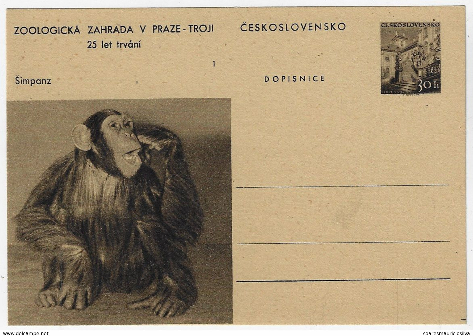 Czechoslovakia 1950s Postal Stationery Card Prague Zoo Chimpanzee Chimp Monkey Ape Mammal Animal Fauna Unused - Chimpanzees