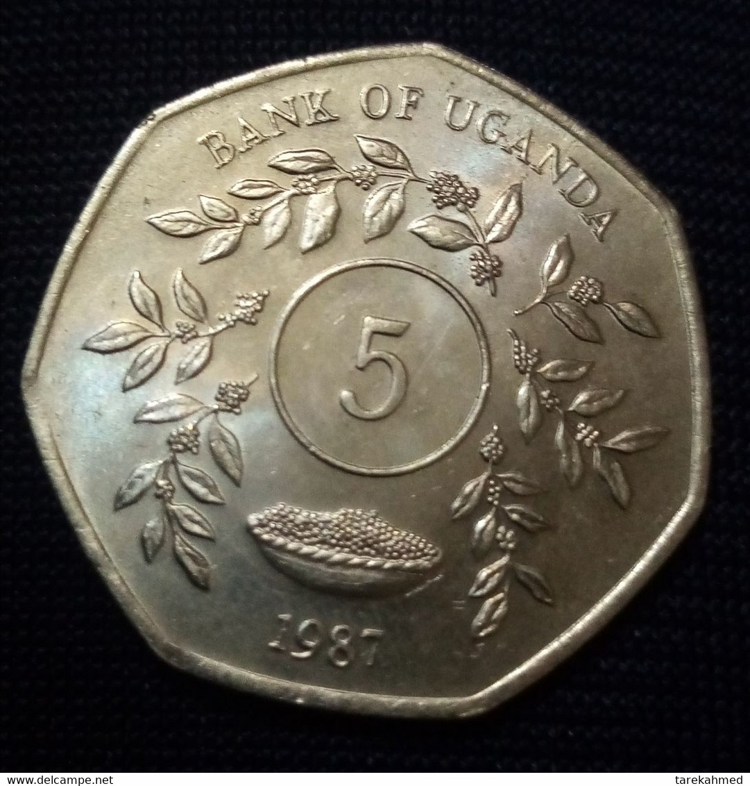 Uganda : 5 Shillings , 1987 , UNC , Agouz - Oeganda