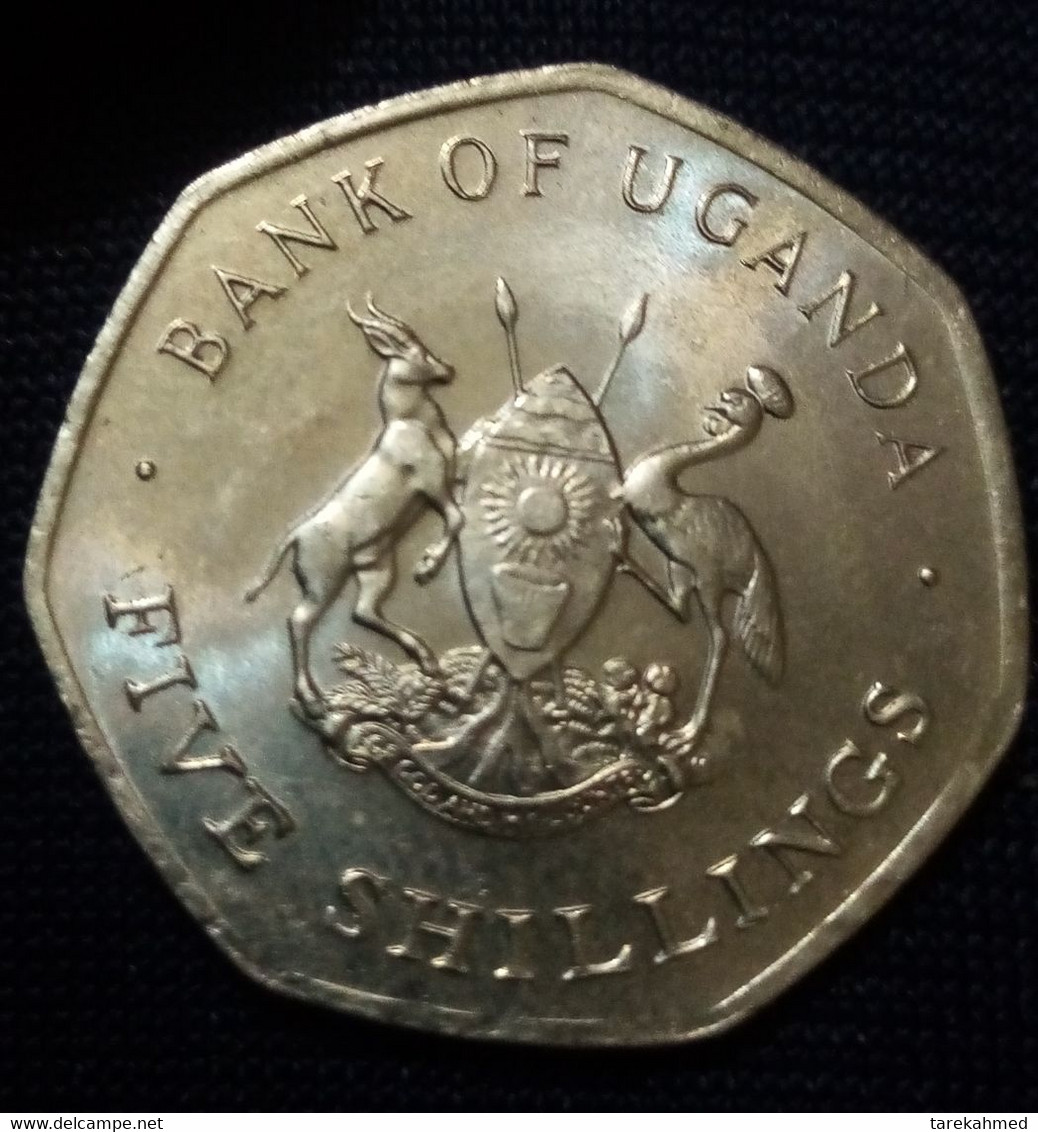 Uganda : 5 Shillings , 1987 , UNC , Agouz - Oeganda