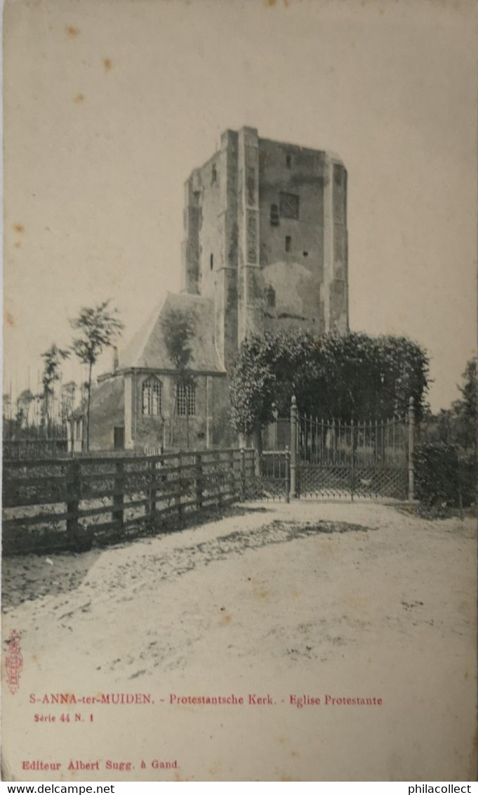 Sint Anna Ter Muiden //Prot. Kerk Ca 1900 Uitg. Albert Sugg - Sluis