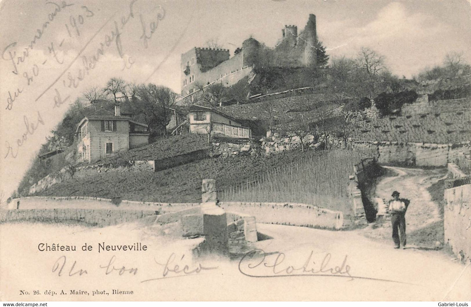 Château De Neuveville Vigneron Avec Une Brante Vigne - La Neuveville