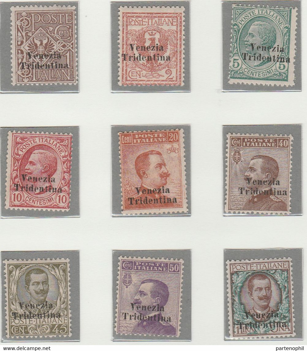 Trentino - 249 ** 1918 - Francobolli D’Italia Del 1901-17 Soprastampati N. 19/27 Cert. Bolaffi. Cat. € 3250,00. SPL - Trentin