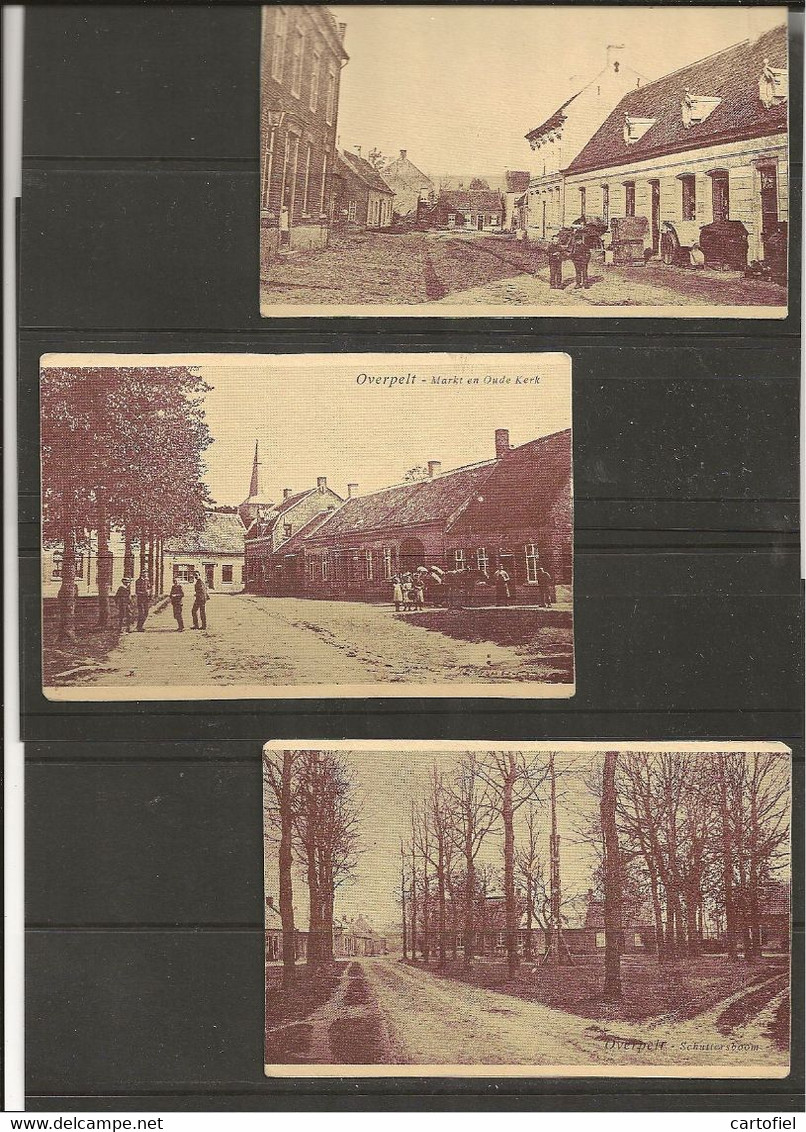 OVERPELT-3 KAARTEN-SCHUTTERSBOOM+MARKT+DORPSTRAAT-SPECIALE REPRINTS-KOPIES-?!-OP NELS-PAPIER-ZIE SCANS RECTO-VERSO - Overpelt