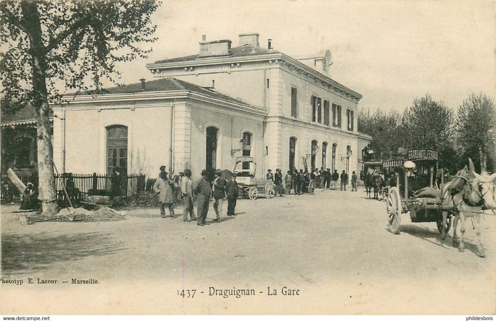 VAR  DRAGUIGNAN  La Gare - Draguignan