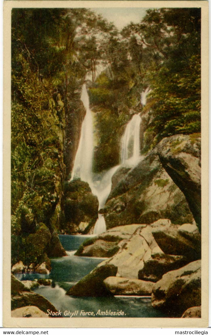 AMBLESIDE  CUMBERLAND  Stock Ghyll Force - Ambleside